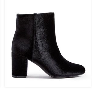 Jacinta Velvet Black Ankle Bootie - BRAND NEW
